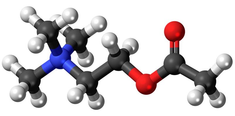 Catecolaminas fraccionadas en orina por HPLC MS/MS